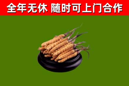 黔东南州烟酒回收冬虫夏草.jpg